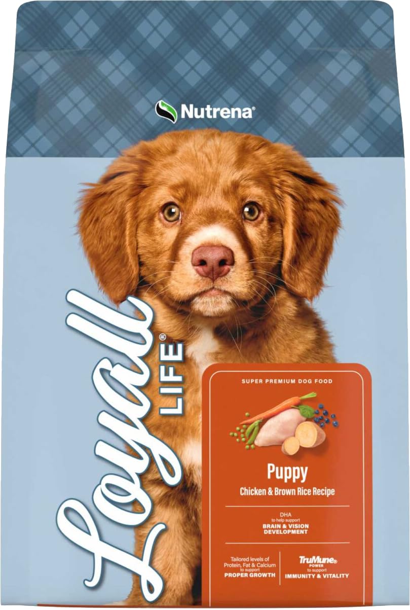 Chicken & Brown Rice Puppy Food 6 Pounds O8932