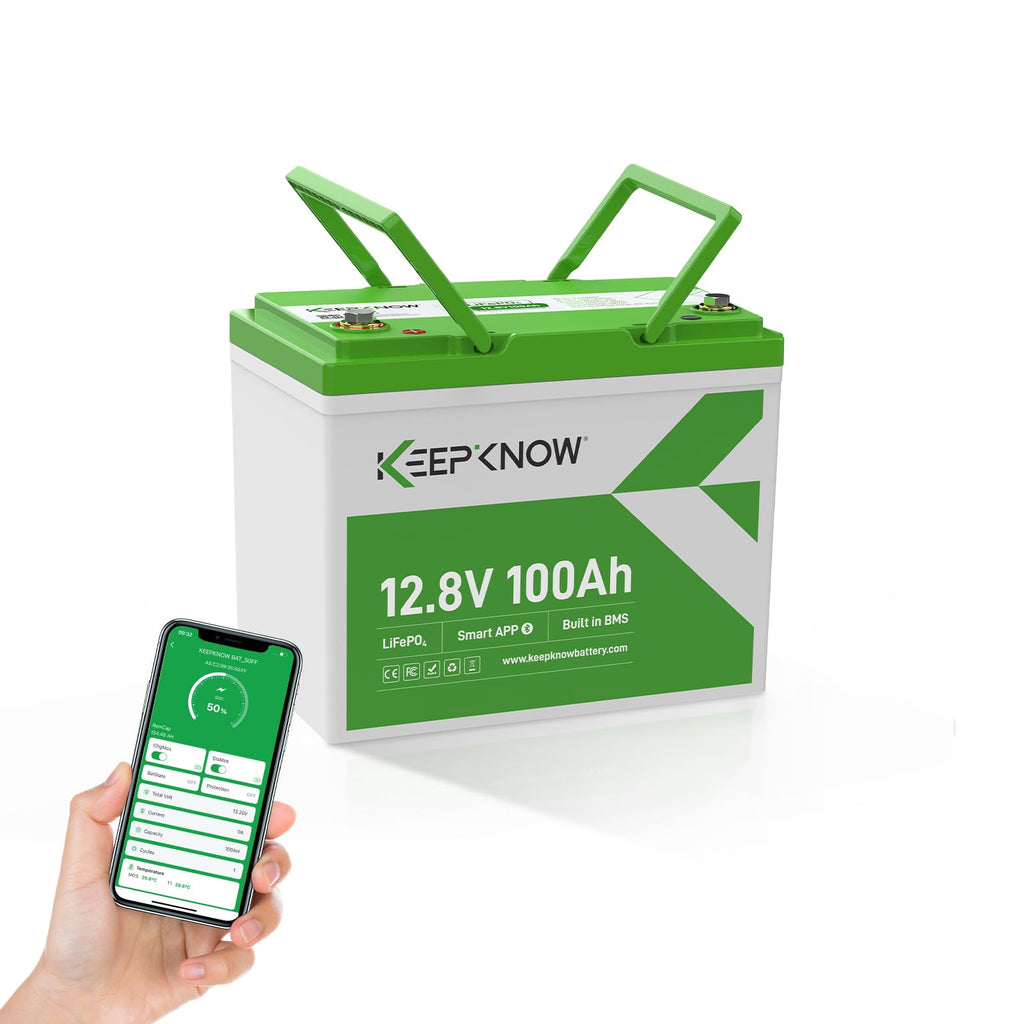 12V 100Ah Mini LiFePO4 Lithium Battery with Bluetooth S426