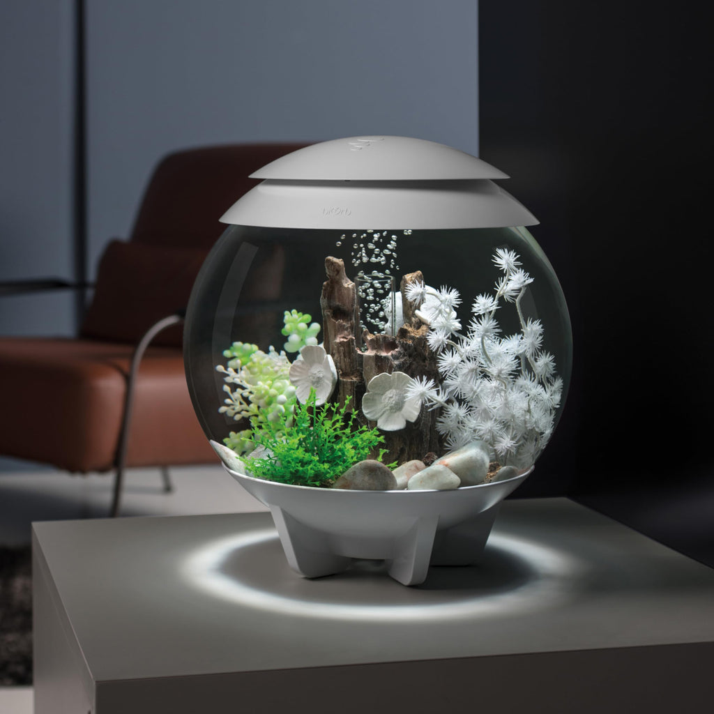 15 Gallon White Aquarium with LED Lights K181215