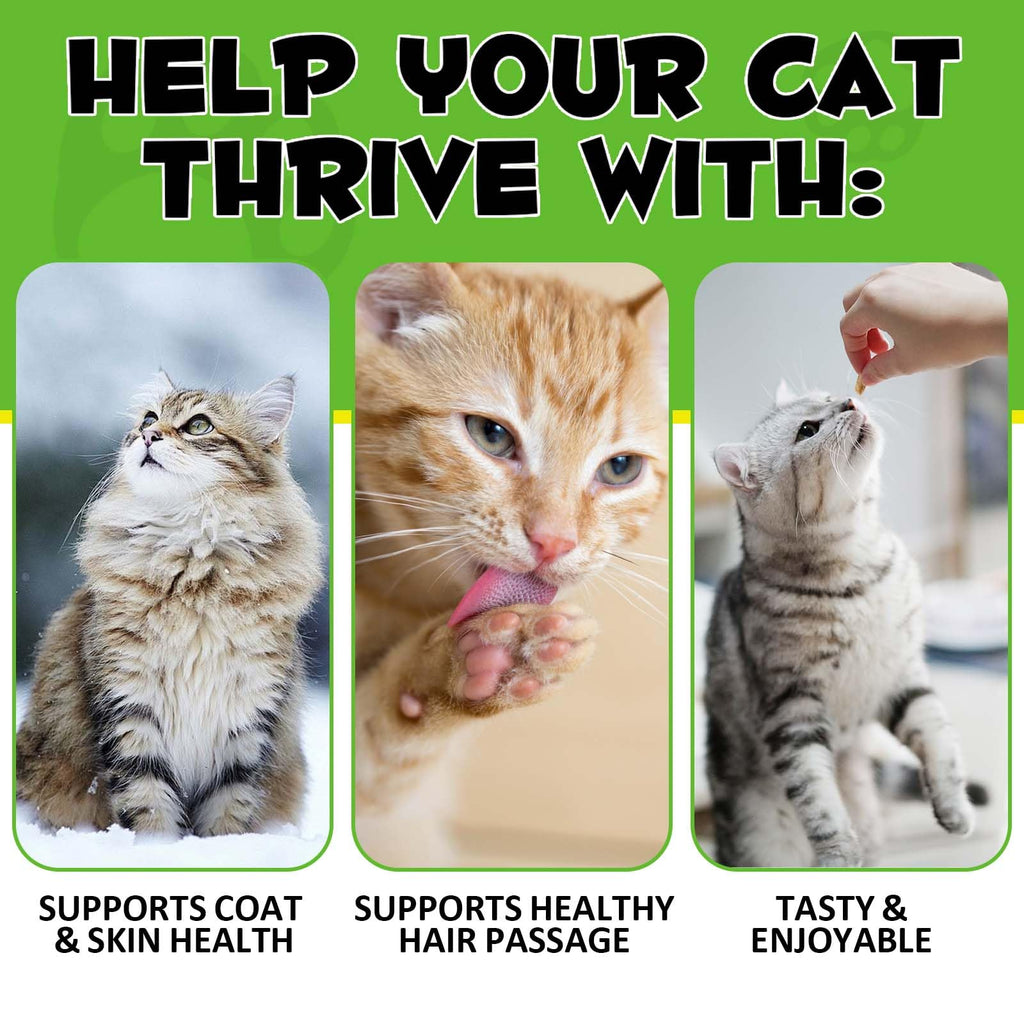 Chicken Omega-3 Fiber Supplement for Cats B174