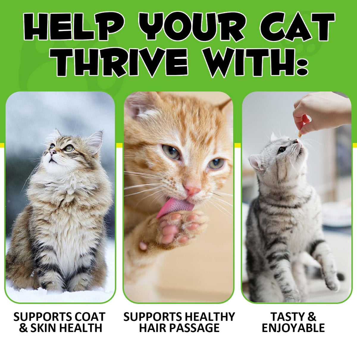 Chicken Omega-3 Fiber Supplement for Cats B174