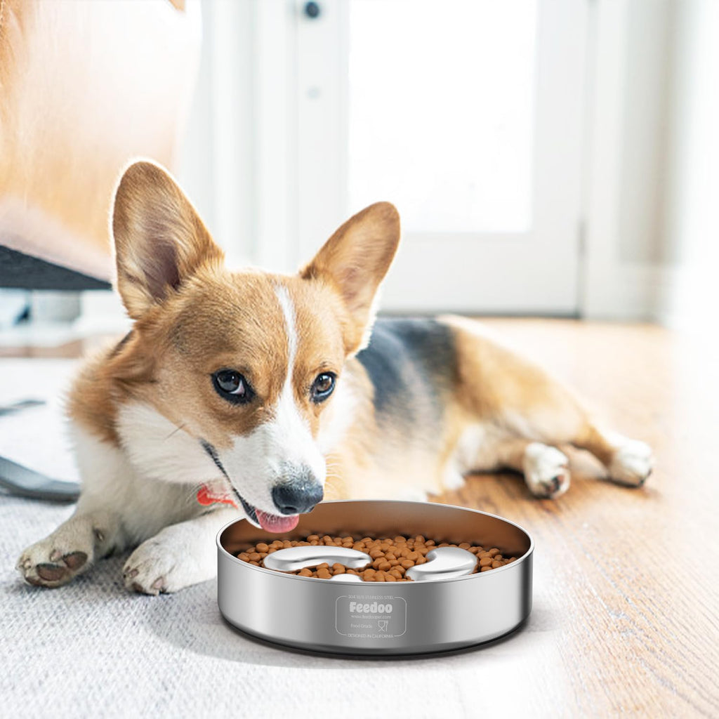 Slow Feeder Dog Bowl 1.5-Cup Stainless Steel K21447