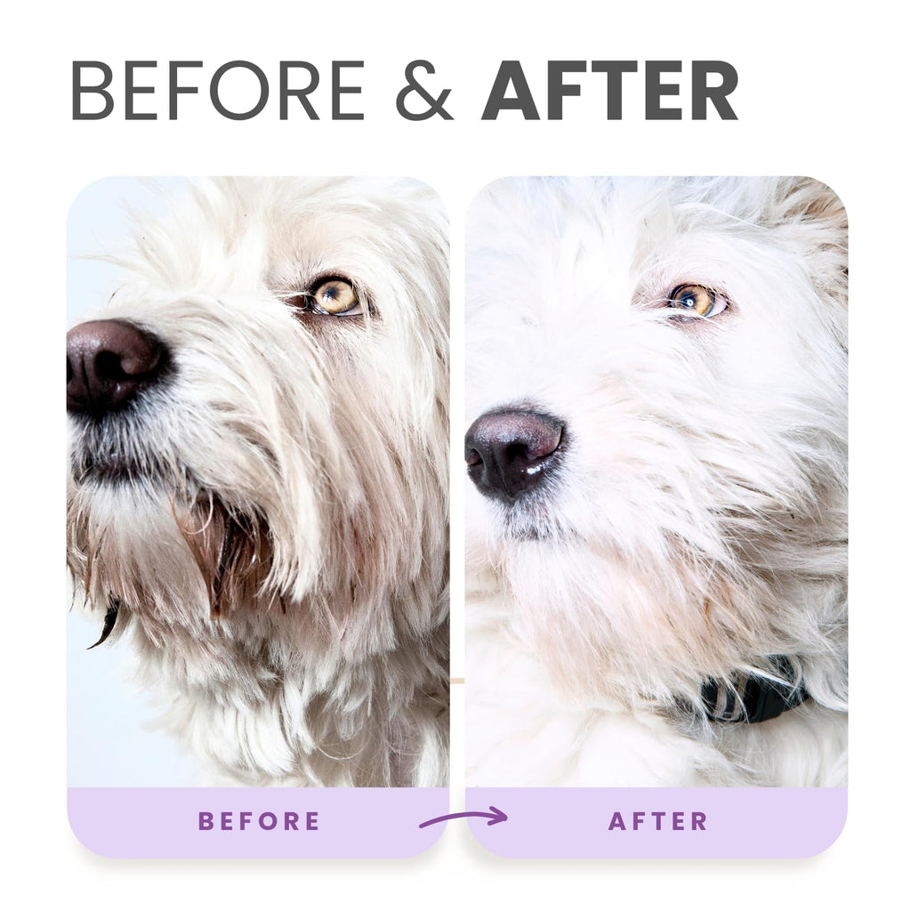 Brightening Dog Shampoo with Aloe & Provitamin B5 16oz Q239