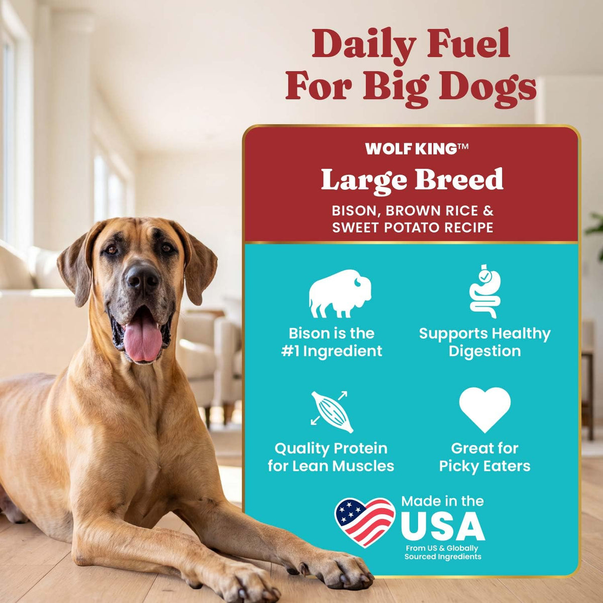 Solid Gold Bison Dry Dog Food 22LB Z730014