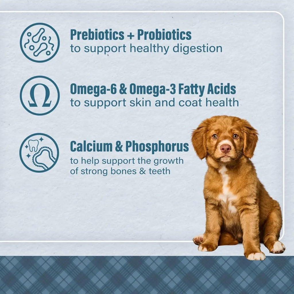 Chicken & Brown Rice Puppy Food 6 Pounds O8932