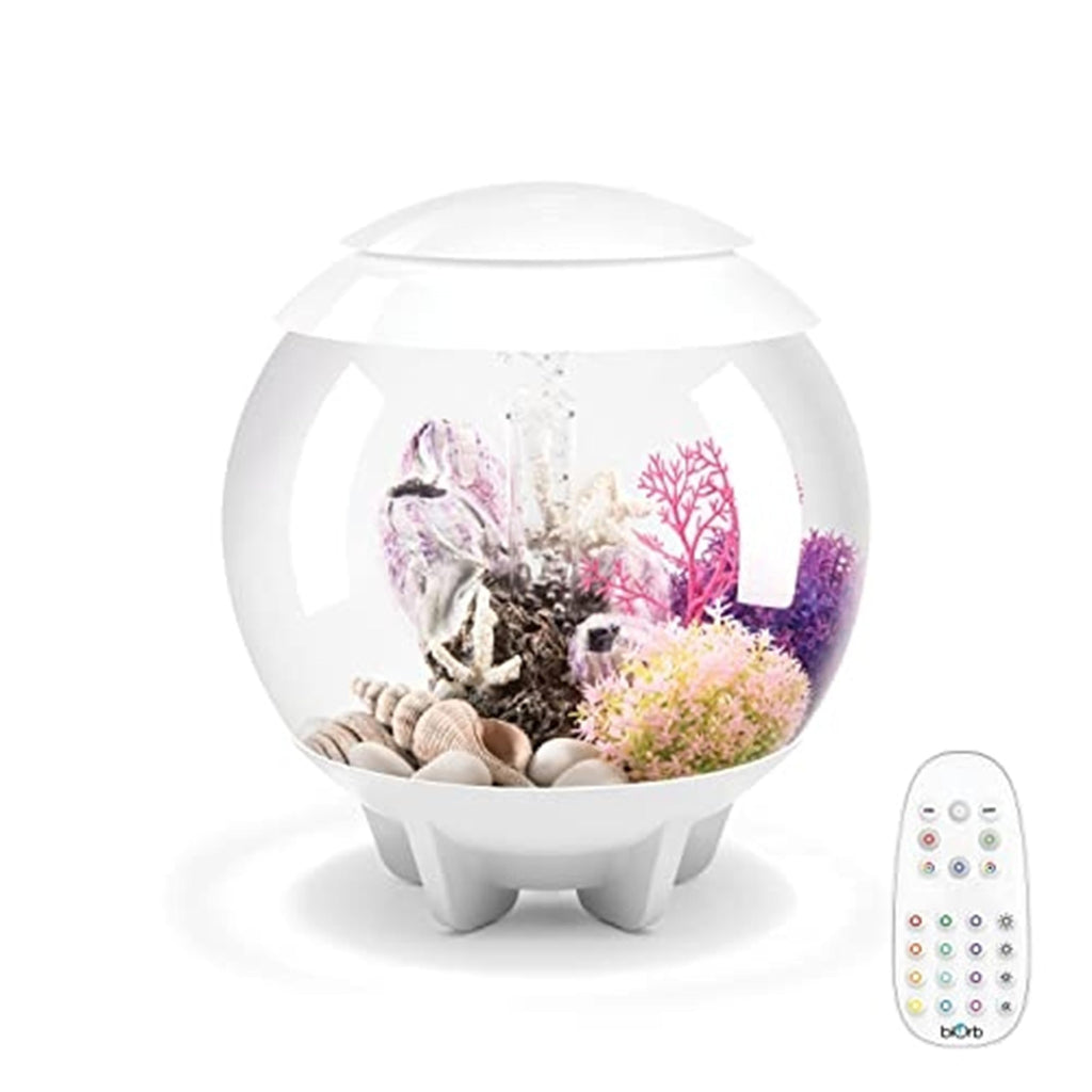 15 Gallon White Aquarium with LED Lights K181215