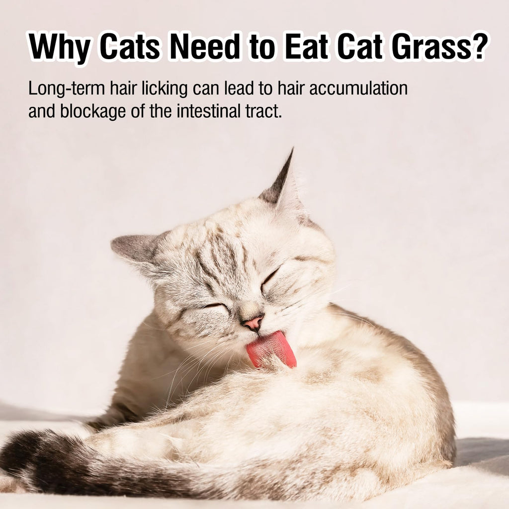 Freeze Drying Cat Grass Treats with Chicken & Egg Yolk 2.3 oz I903