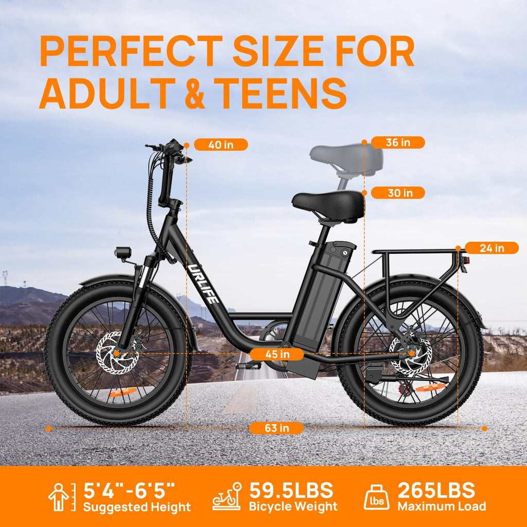 20" Fat Tire Electric Bike with 1000W Motor R982931