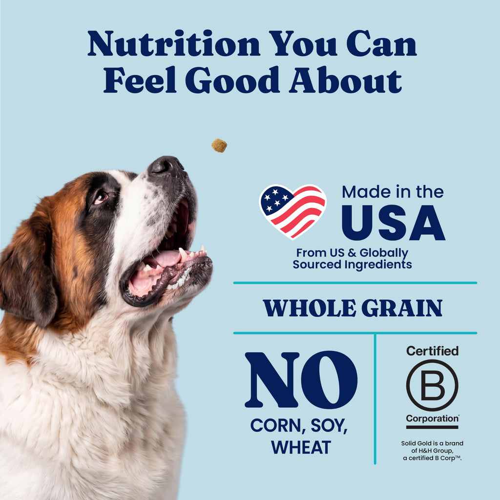 Solid Gold Bison Dry Dog Food 22LB Z730014