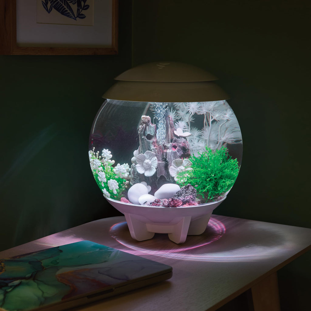 15 Gallon White Aquarium with LED Lights K181215