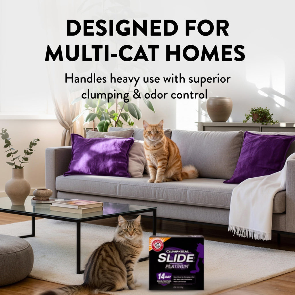 Clumping Cat Litter, 37 Lbs X19043