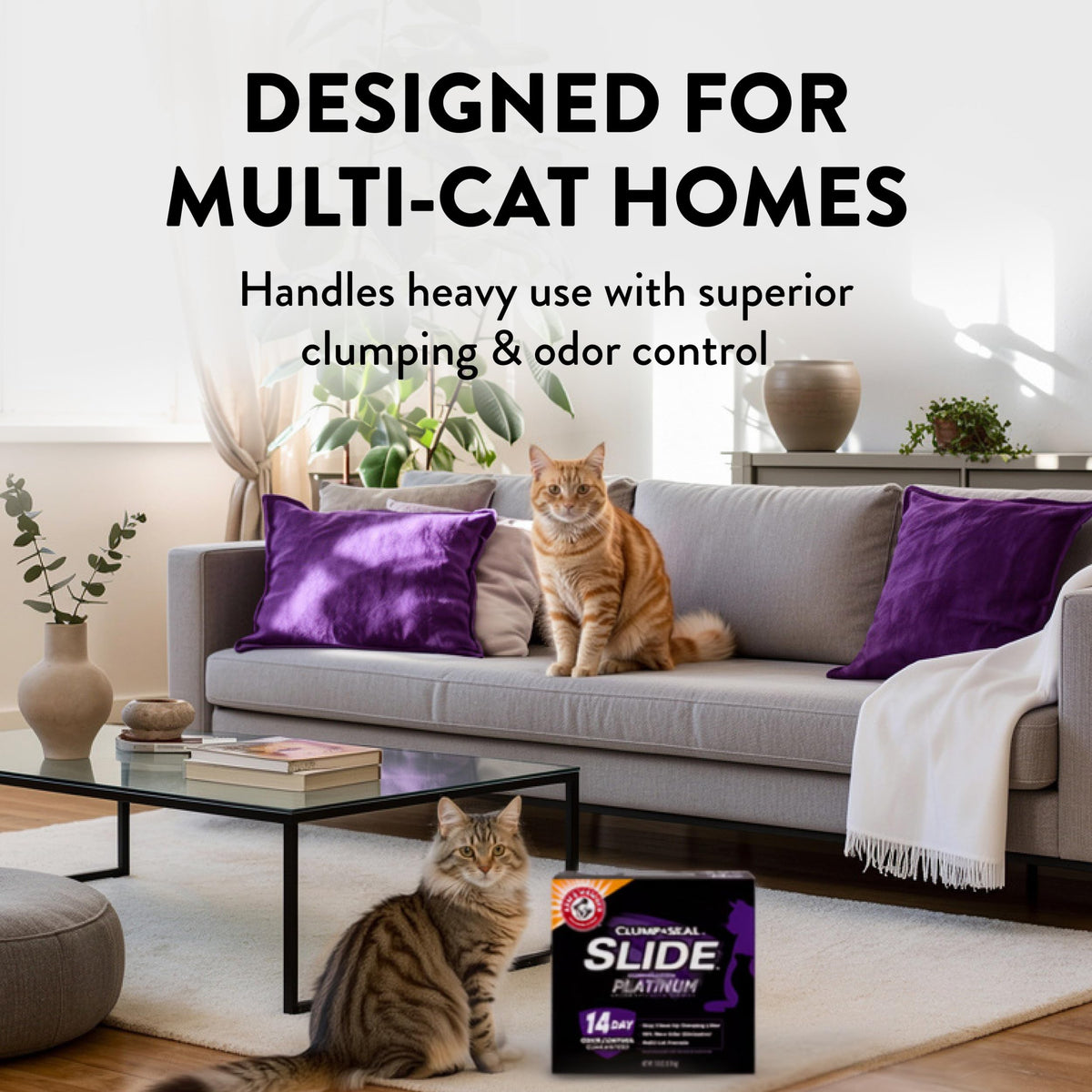 Clumping Cat Litter, 37 Lbs X19043