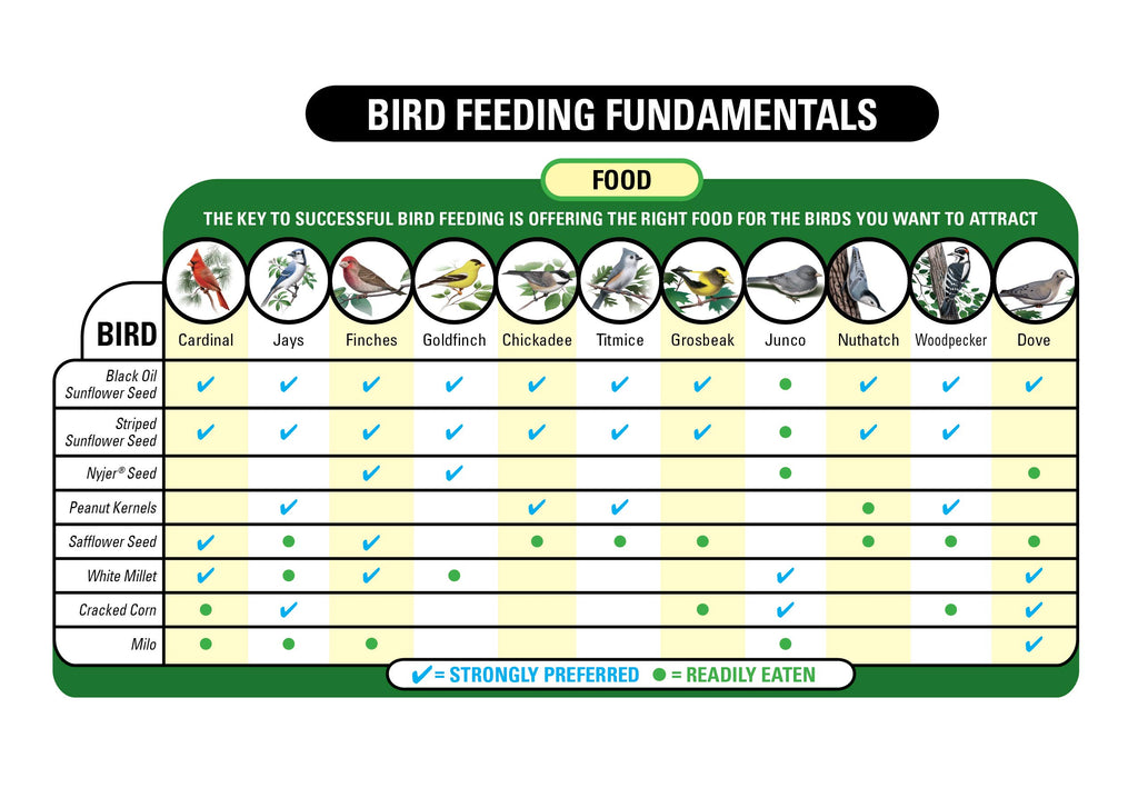 Nyjer Seed Wild Bird Food 20-Pound Bag M285