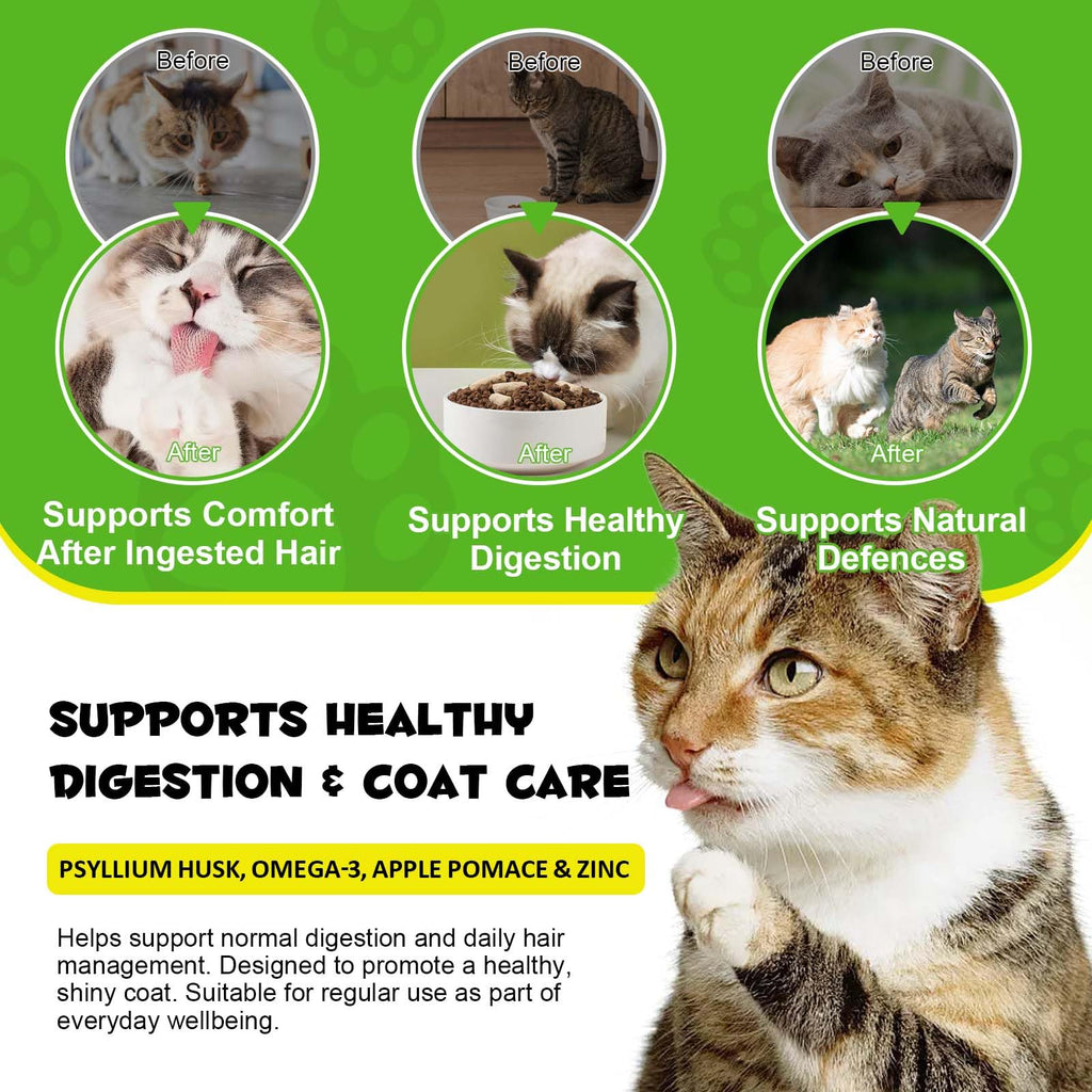 Chicken Omega-3 Fiber Supplement for Cats B174