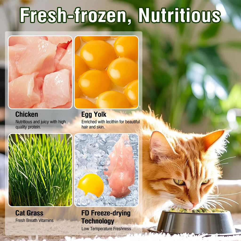 Freeze Drying Cat Grass Treats with Chicken & Egg Yolk 2.3 oz I903