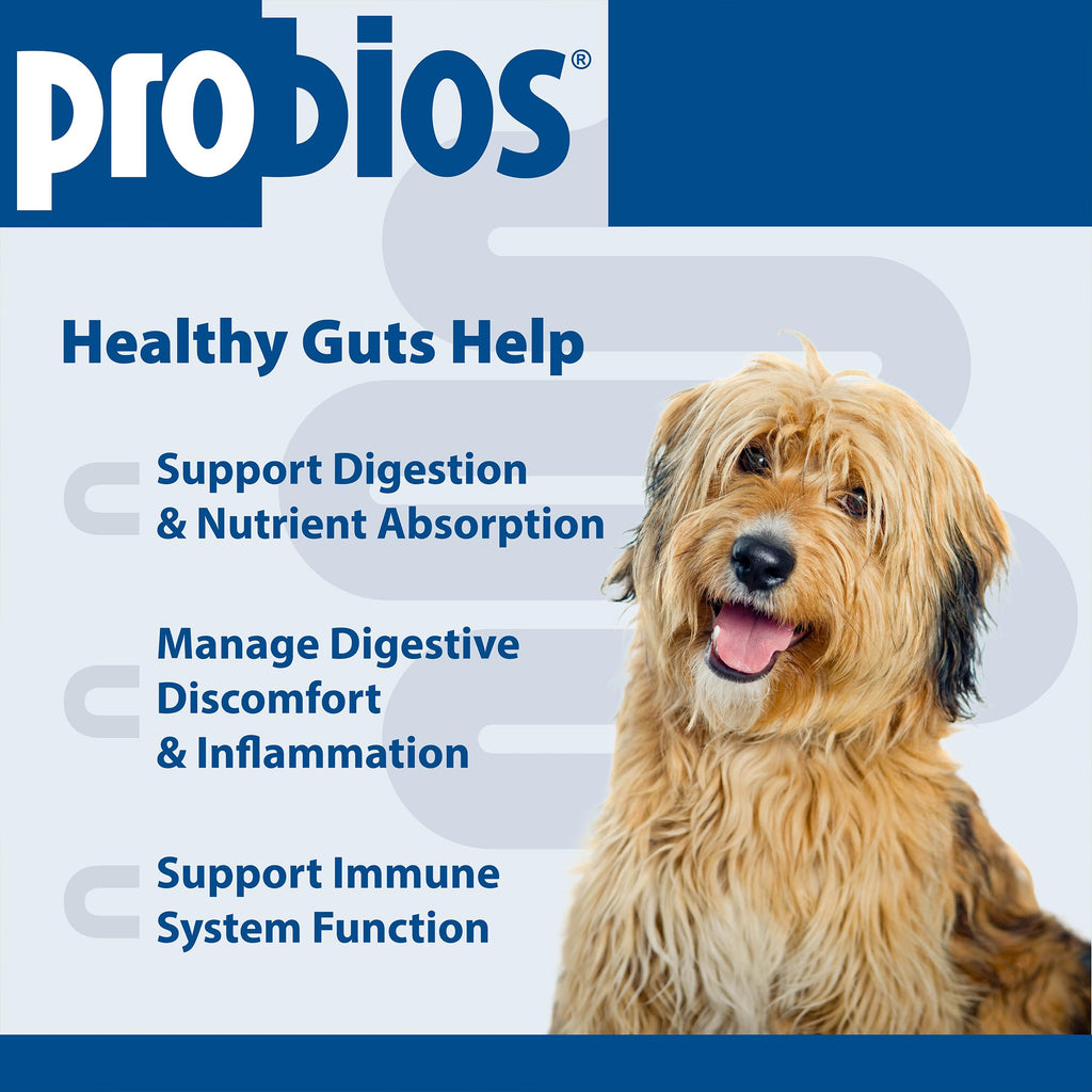 Digestive Dog Tabs 45 chewable tablets W185917