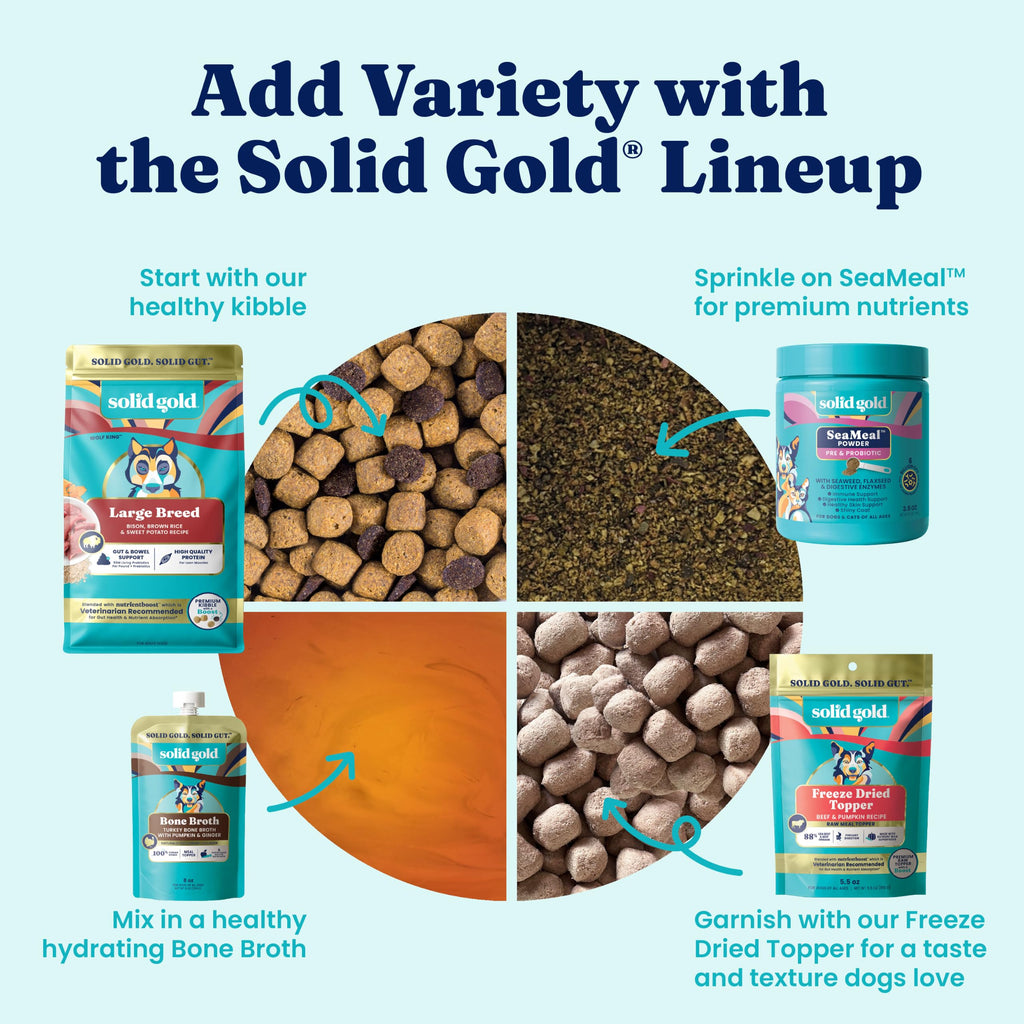 Solid Gold Bison Dry Dog Food 22LB Z730014